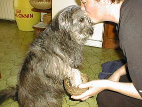 pic00001
