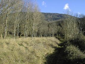 pic00007