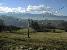 pic00014