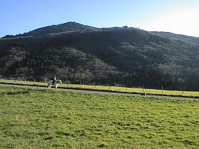 pic00029