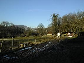 pic00046