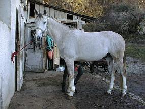 pic00049