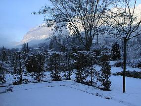 pic00013