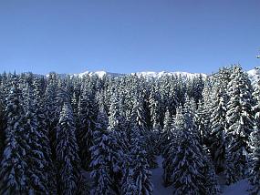 pic00003
