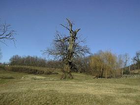 pic00049