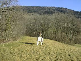 pic00054