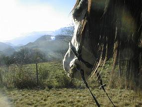 pic00055