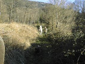 pic00062