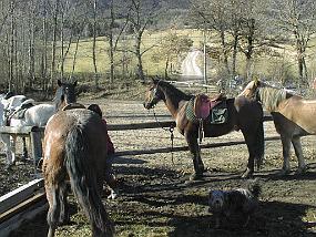 pic00002