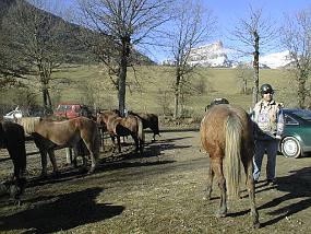 pic00003