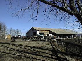 pic00006