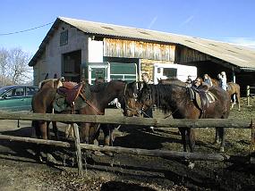 pic00008