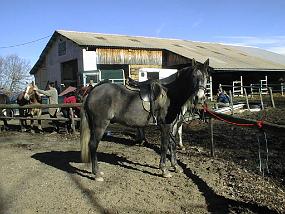pic00011