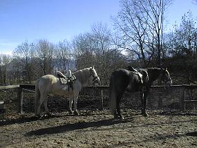 pic00012