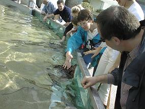 pic00035