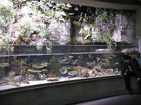 pic00040