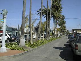 pic00010