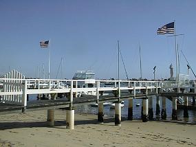 pic00014