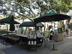 pic00029