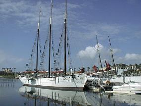 pic00050
