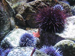 pic00054