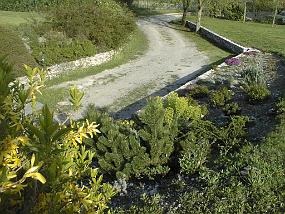 pic00011