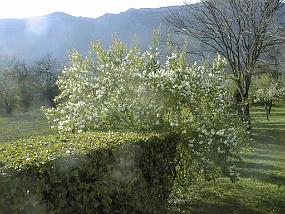 pic00012