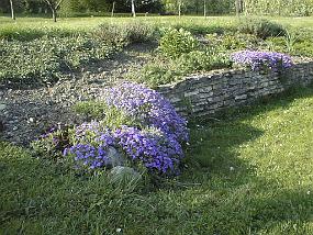 pic00014