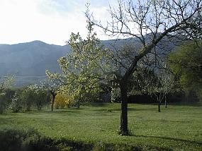 pic00016