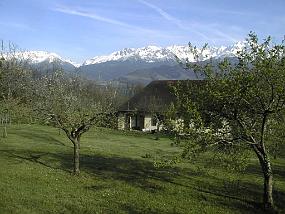 pic00025