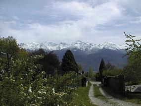 pic00003