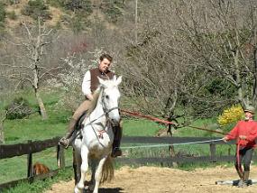 annanewhorse3