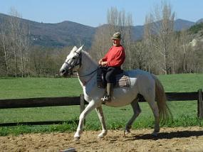 annanewhorse4