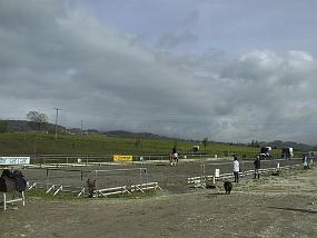 pic00006