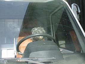pic00009