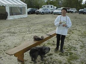 pic00012