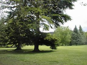 pic00017