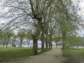 pic00018