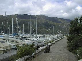 pic00021