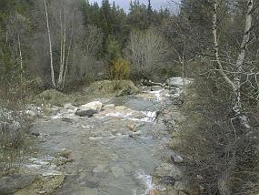pic00025
