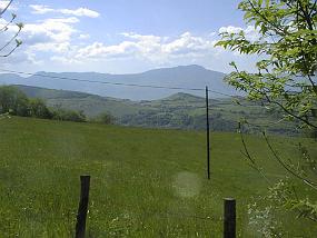 pic00001