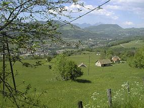 pic00002