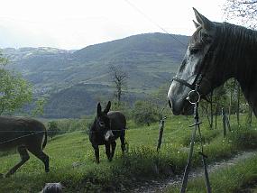 pic00005