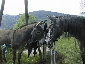 pic00006