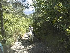 pic00011
