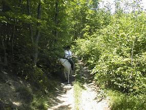 pic00015
