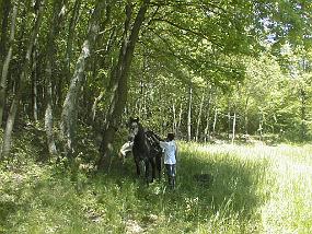 pic00016