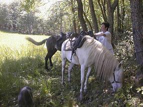 pic00028