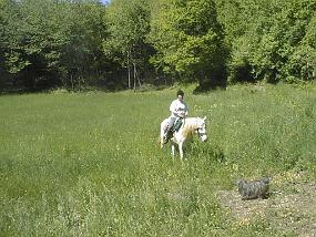 pic00031