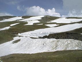 pic00014